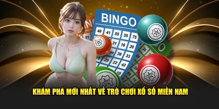 Định nghĩa của Xổ Số miền Nam là gì?
