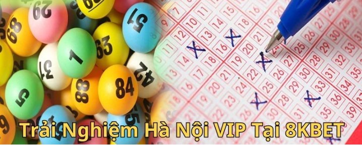 Hội viên cần bổ sung kinh nghiệm khi tham gia Hà Nội Vip
