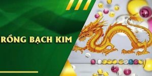 Khái niệm Rồng Bạch Kim 666 8KBET